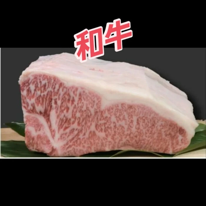 画像255